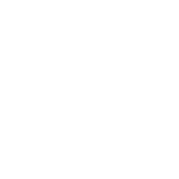 Skilled Worker Visas