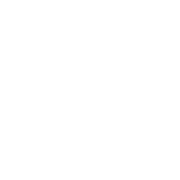 Indefinite Leave to Remain (ILR)