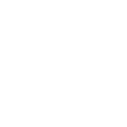  Overstayer Legal Support